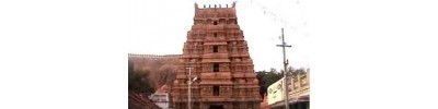 106. திருமெய்யம் (திருமயம்)